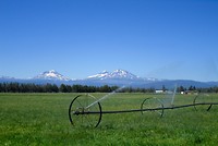 Three sisters