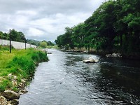 Dag 15 Carrick on Suir