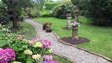 Dag 16 B&B Stirabout Lane garden - Rathdrum