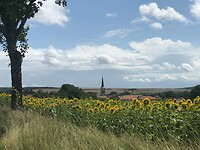 zonnebloemen en kerkjes ..