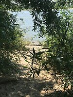 Picknickplekje