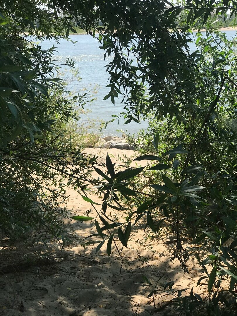 Picknickplekje