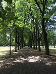 Mooi laantje