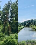Nationaal park Donau-Auen, het laatste ‘rivierbos’