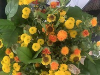 Bloemen van Marion&Klaas