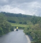 Regen regen regen