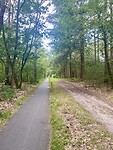 Weer terug in Nederlands Bos