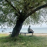 Contemplatie