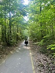 In het bos
