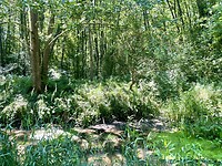 Groen Groen Groen