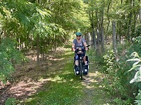 Bos-fietsen