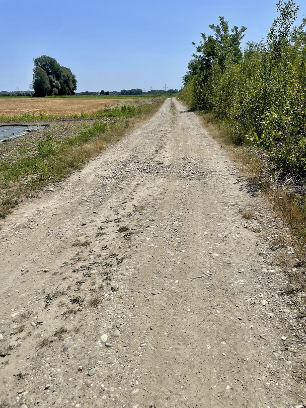 Dirt Roads are Tough!
