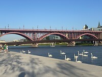 De Glavni Most brug