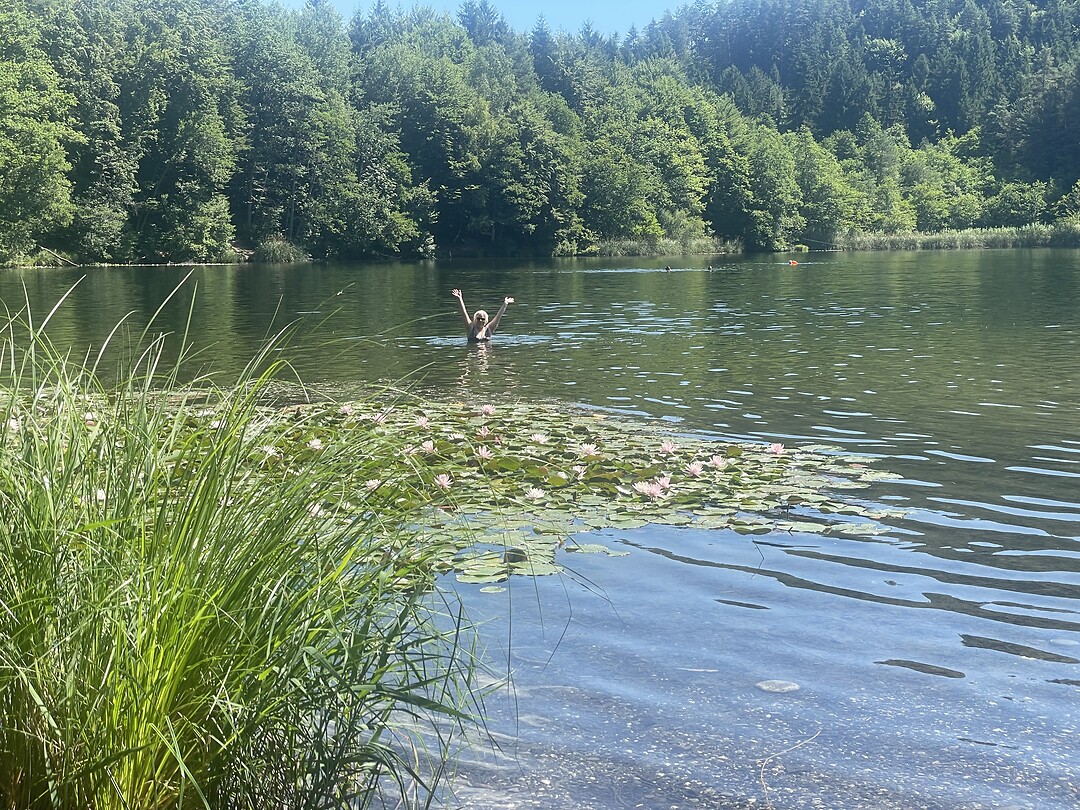 Blij