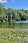 Zwemmen