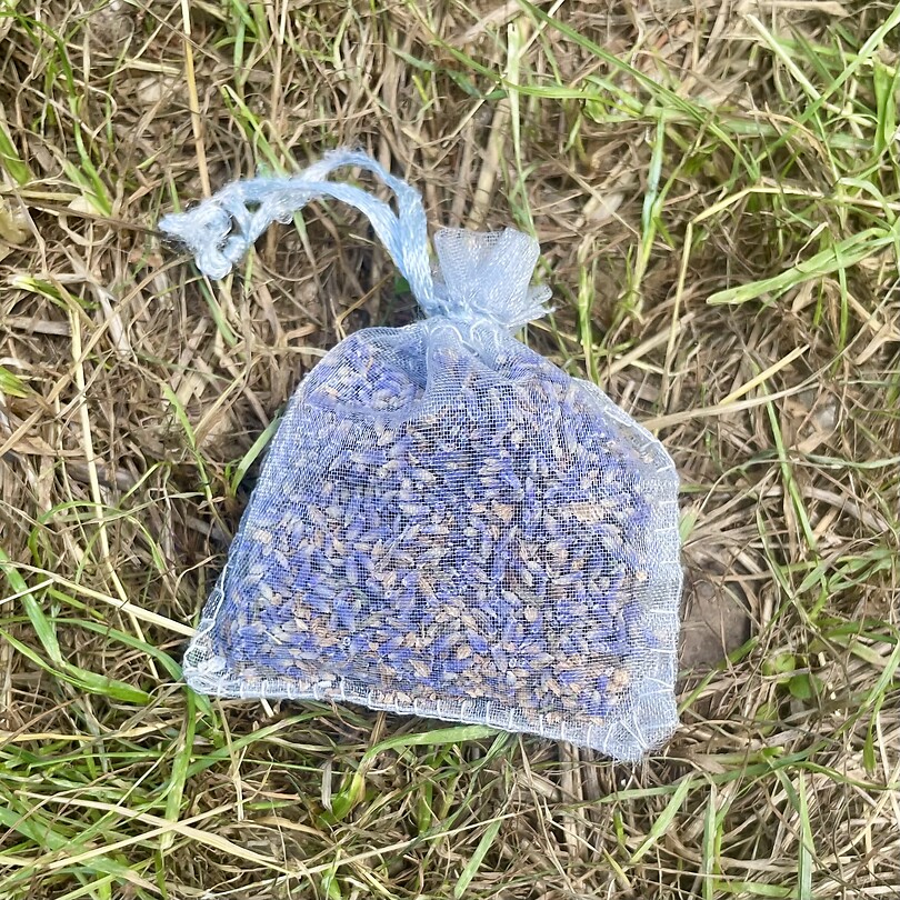 De lavendel uit Hongarije