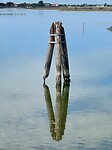 Reflectie in de lagune