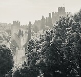 Het mooie Soave in ochtendlicht