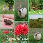 9 en 10 juni Flora en Fauna