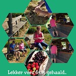Vers fruit gehaald