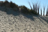 Genieten met een Hoofdletter G...
