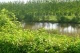 Le Sarthe