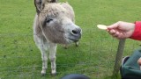Met Mariabiscuitjes onze mijlpaal van 2000 km. gevierd.