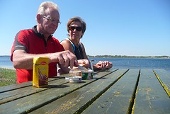 picknick in Hvalpsund waar de ferry vertrekt