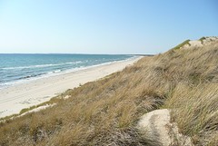 onderweg naar Skagen