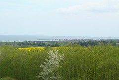 Beloning!