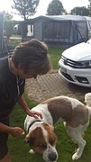 effe knuffelen met de buurhond