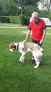 effe knuffelen met de buurhond