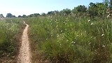 tussen de vlinders langs het Canal du Midi