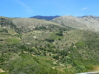 Tussen Pastra en Poros