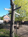 In de buurt van Veghel
