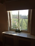 Uitzicht kamer B&B Ouderhoek Boutique