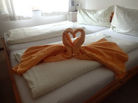 Lief