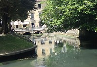 Treviso
