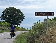 Route des Vins d' Alsace