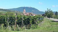 Zicht op Bergheim