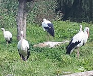 NaturParc