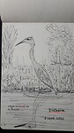 Reiger in Canal de la Bruche