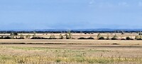 Vlaktes met op de achtergrond de Pico's?