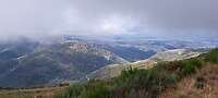 Montes de León