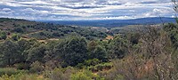 Montes de León