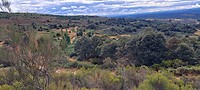 Montes de León