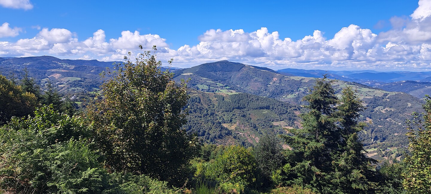 Panorama