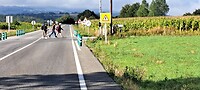 Overstekende pelgrims