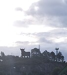 Toro de Osborne
