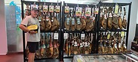 Carnivoor